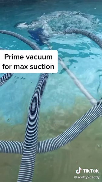 Removing Algae from Your Pool: Expert Tips and Tricks