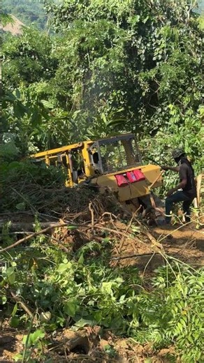 Bulldozer D6R XL vs Steep Hill Field Test