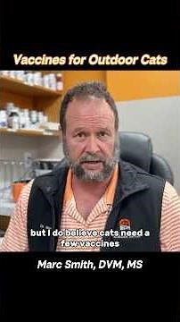Recommended Outdoor Cat Vaccines: Marc Smith, DVM, MS