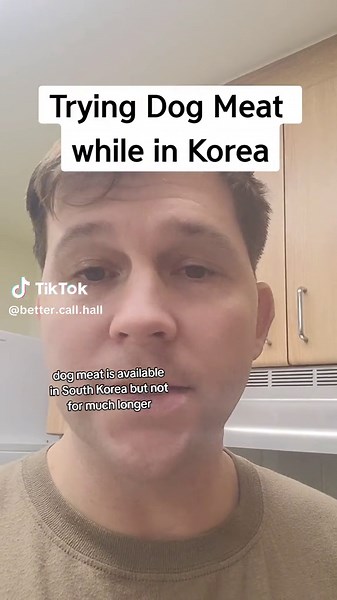 Exploring New Culinary Horizons: Trying Dog Meat in Korea