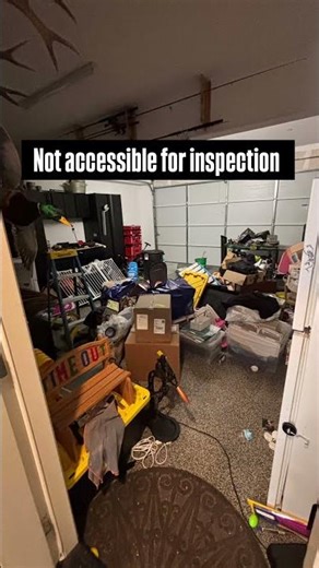Pest inspection findings #pestcontrolchronicles