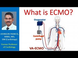 What is ECMO?