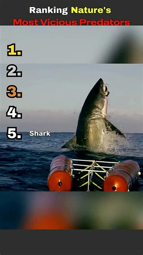 Nature's Most Vicious Predators 🦈🐊