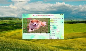 基于深度学习的犬种识别系统