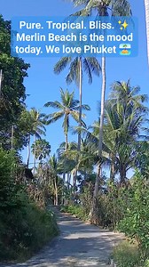 Tired of the Patong crowds? 🤫 Just 5 minutes away lies a hidden paradise most tourists drive right past. Welcome to Merlin Beach—Phuket’s best-kept secret for peace, quiet, and crystal-clear waters. #tropicalbeach #tropicalbeaches #amazingnature #PhuketLife #phuketlife #merlinbeach #PhuketVibes #thailandtravel #phuketisland #phuketthailand #fblifestyle #thailandtrip | Thailandia Phuket