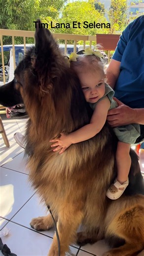 Vidéos de Les aventures de Tim (@les.aventures.de.t0) avec Winter Magic - Piano Version - Winterbell