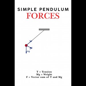 Fuerzas en el péndulo simple #Física #Movimiento #péndulo #simple #Oscilación 🎞️ Saket Trivedi | Ciencias TV