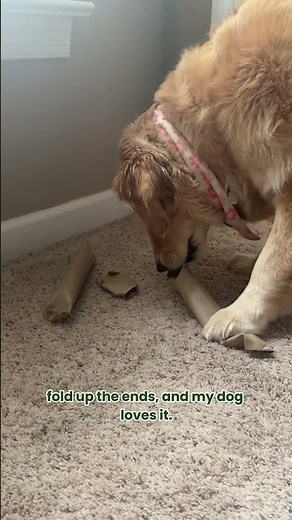 Simple DIY Dog Toy That Keeps Them Busy for 20 Minutes!