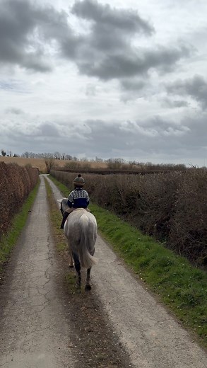 Eddie’s foot is better, poor lad has been off for ages. Merlin very happy to be riding his own pony again. Pippin keeps calling Tiny "Woz" which is bitter sweet. I am still so heart sore over losing my boy but Tiny and his enormous shoes are heroically filling the void. The bird table is bustling with visitors - woodpeckers and goldfinches among the little brown jobs, tits, chaffinches and nuthatches. As I get older I spend longer and longer looking out of the windows… #saturdays #at #home #🤍 |