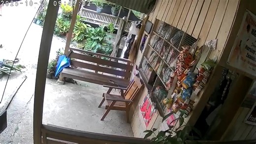 Watch: CCTV footage captured the scene outside a store in Manay, Davao Oriental during the 7.4-magnitude earthquake that struck earlier this morning, October 10, 2025. 🎥: Reymar Sumaliling #Earthquake #DavaoOriental #Manay #EarthquakePH #DisasterUpdate | Baguio Herald Express