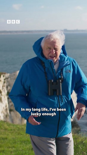 We all love Sir David back on our screens ❤️ #WildIsles #iPlayer #DavidAttenborough