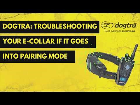 DOGTRA: TROUBLESHOOT PAIRING MODE ON YOUR E-COLLAR