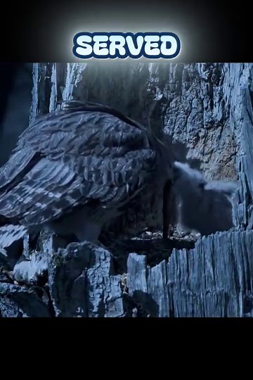 The Largest Owl on Earth: Blakiston’s Fish Owl 🦉