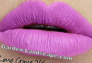 Other: Lavender drying - That's how it's done | 2025