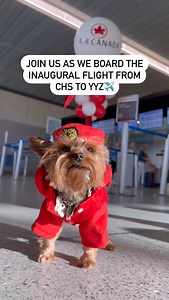 Have you flown Air Canada with your dog? | Traveling with a Dog