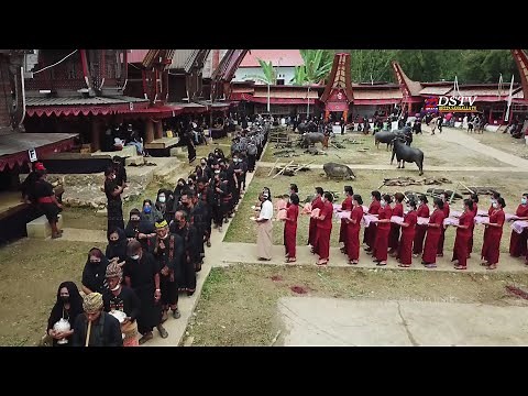 Upacara adat keren di Angin angin Toraja Utara