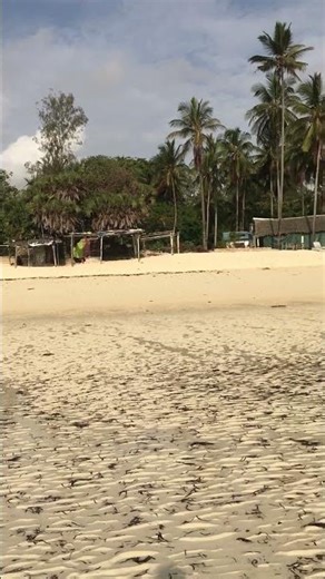 Beautiful morning beach view