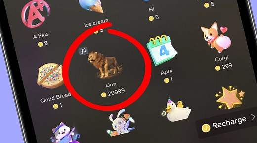 What Is The 'Lion Gift,' How Much Is It And Why Are People Buying Them On TikTok?