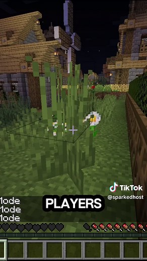 Enhance Minecraft Gameplay with Subtle Effects Mod