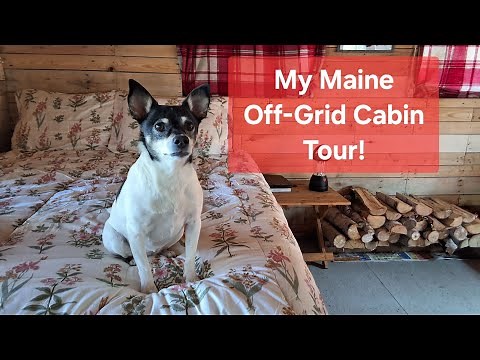 Maine Off-Grid Cabin Tour!