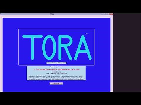 MÉTODO GRÁFICO POR EL SOFTWARE TORA