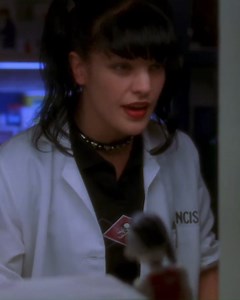 Questionable Things Everyone Just Ignores In #NCIS | Looper