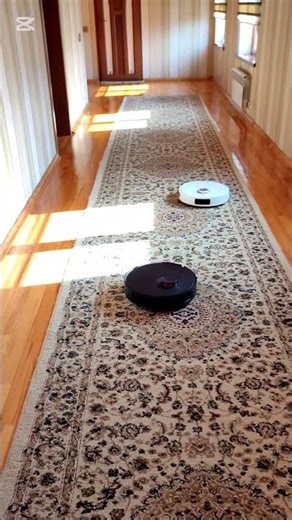 Mənim köməkçilərim😊