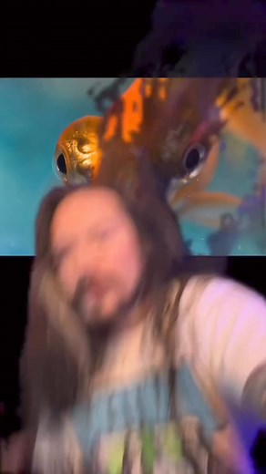 Exploding pet goldfish | Whang