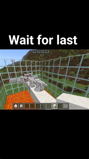 Sheep vs dogs #minecraft