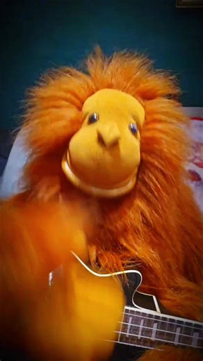 Ginger Barry Funny Puppet Song