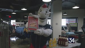 The Binghamton Rumble Ponies hosts Dog Days of Winter