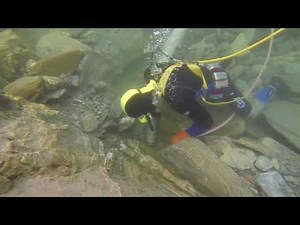 Holiday Dredging on the Gold