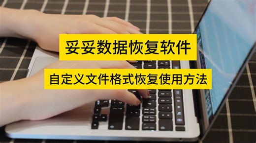 自定义文件格式恢复-2024
