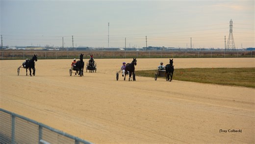 They're Off And Pacing At The Loop
