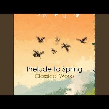 Chopin: 24 Préludes, Op. 28: 16. In B Flat Minor