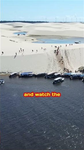 The Desert That Turns Into a Water Park #NaturesFact, #naturefacts #desertmiracle #naturalwonders