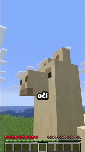 Nejdivnější spawn vajíčko v Minecraftu...
