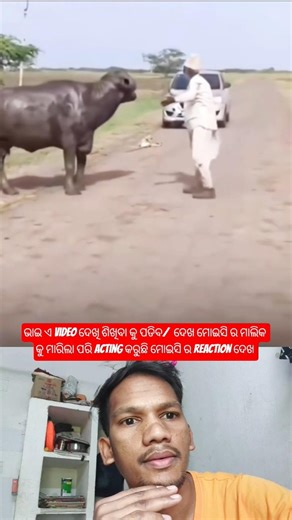 Affectionate ❤️#odiasong #song #youtubeshorts #shorts #viral