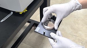 Label-free, High-Resolution 3D Imaging and Machine Learning Analysis of Intestinal Organoids via Low-Coherence Holotomography