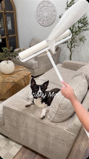 Kellie Atkinson on Instagram: "Me vs. the 🦮🐾 hair: round 6677 😭🥲 Comment “link” to get a link for the sticky mop sent directly to your inbox 💌 #clean #cleaning"