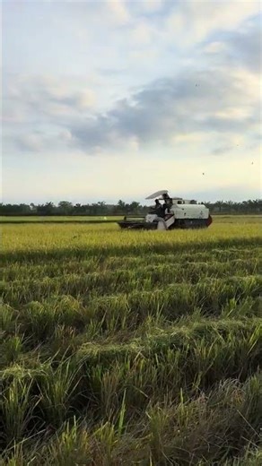 MAXXI ||#automobile #kombi #kombisawah #maxxibimo102standar #maxxibimoterbaru #combineharvester