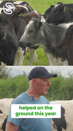 Supporting your calves from the start with BioBalance helps to build more resilient calves and reduce time, cost and labour associated with scours. 20mls per calf per day! #farming #tipperary #calvingseason