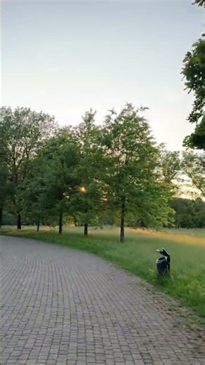 13725712 1080 1920 30fps