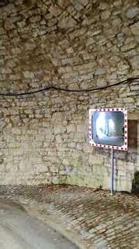 ✨ A peaceful walk through Würzburg Castle 🏰Ancient walls, golden light #travel #naturevibes #travel