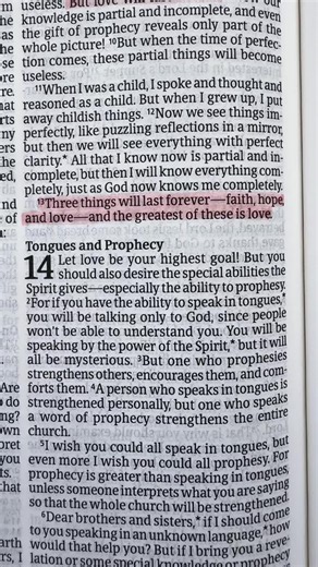 Three things will last forever 🩷📖💞💖 1 Corinthians 13:13 #christiantiktok #dailybibleverse #wordofgod #love