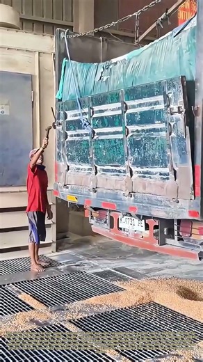 Unloading the Harvest: How a Farmer Releases Grain from a Truck into a Storage Bin