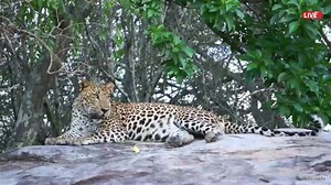 Witness a milestone moment at AOD Graduation 2026 as our graduates step into the future of design and innovation. #AOD #AODGraduation2026 | AOD