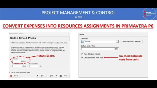 How to Convert Project Expenses to Resources in Primavera P6 | Muhammed Asif posted on the topic | LinkedIn