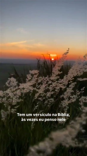 #sitio #chacara #fazenda #vidanaroça #animais #vidanocampo