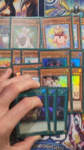 Yu-Gi-Oh Fluffal/Frightfur Deck Profile In 60 Seconds #yugioh #shorts #yugiohtcg